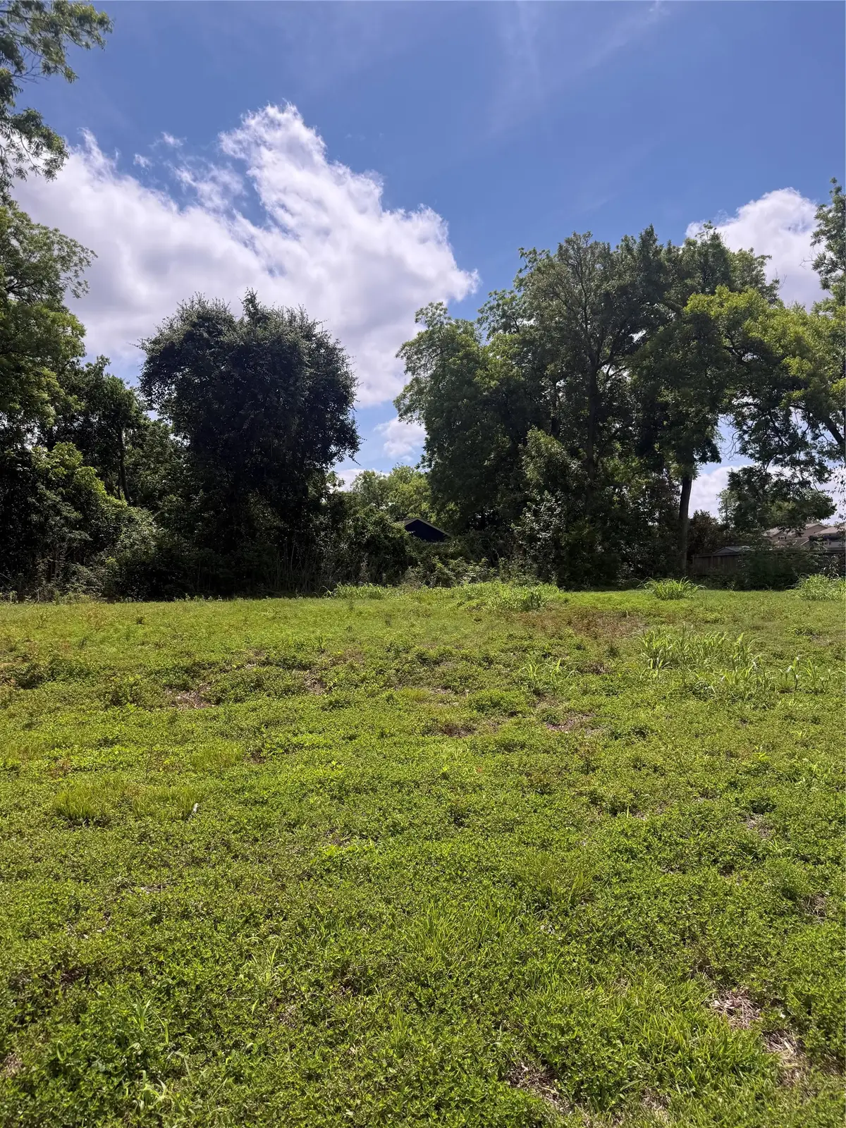 0 Rosalee St, La Marque, TX 77568 - #1