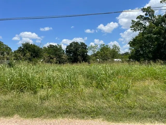 0 Fleming Road, Somerville, TX 77879 - #1