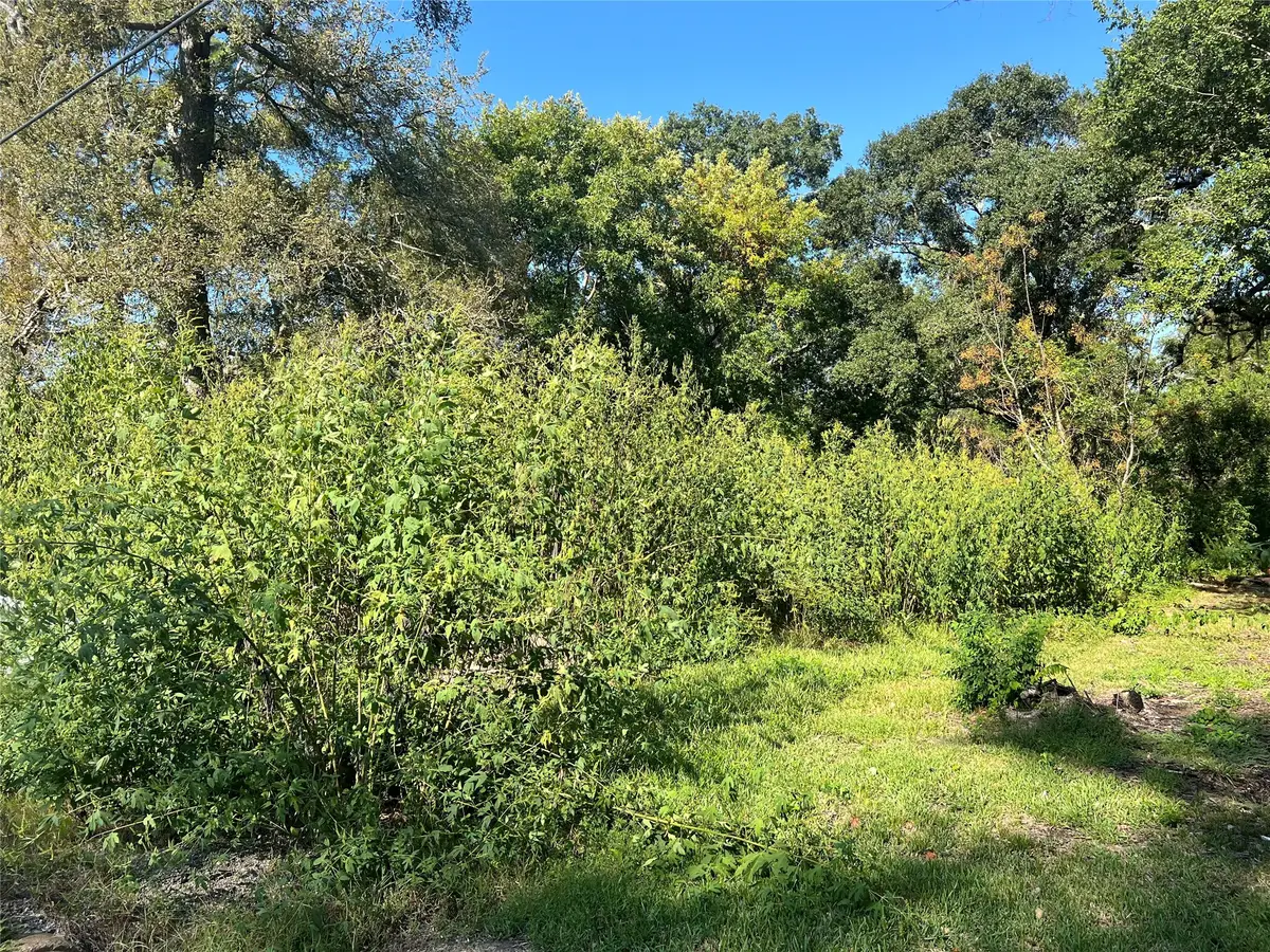 6627 County Road 924 Drive, Sweeny, TX 77480 - #1