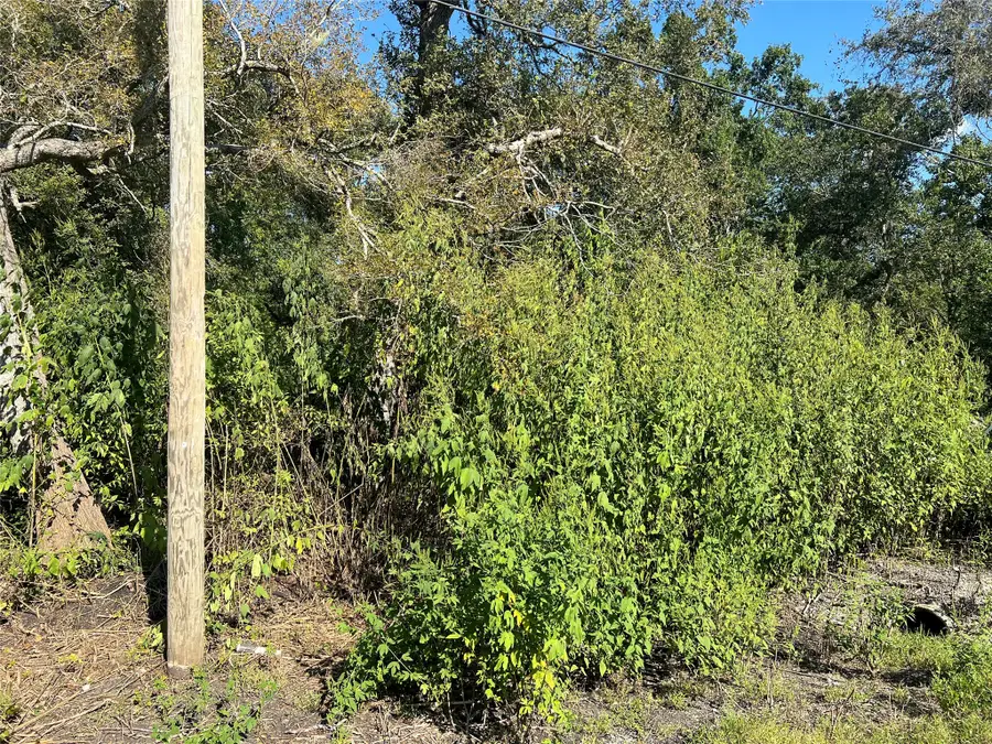 6627 County Road 924 Drive, Sweeny, TX 77480 - #2