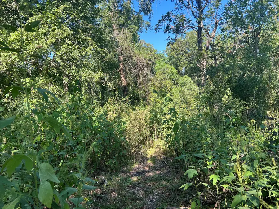 6627 County Road 924 Drive, Sweeny, TX 77480 - #3