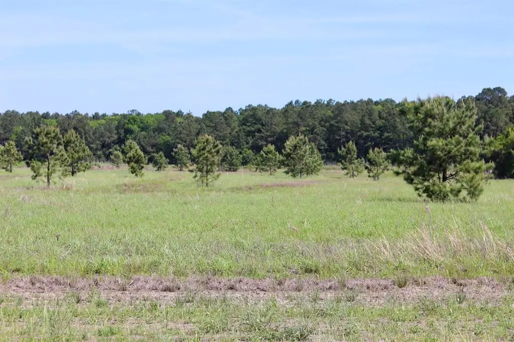 27480 Hwy 365 Road, Beaumont, TX 77705 - #1