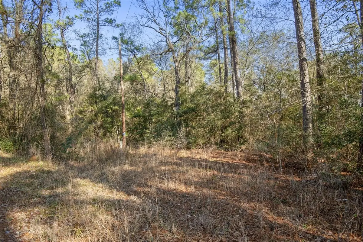 13321 Lueders Lane, Plantersville, TX 77363 - #1