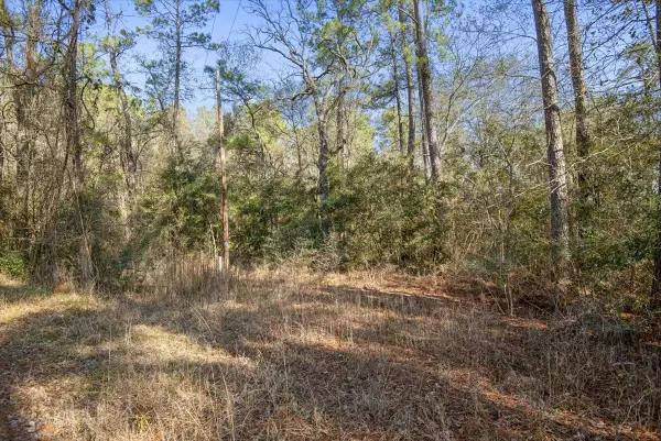 13321 Lueders Lane, Plantersville, TX 77363