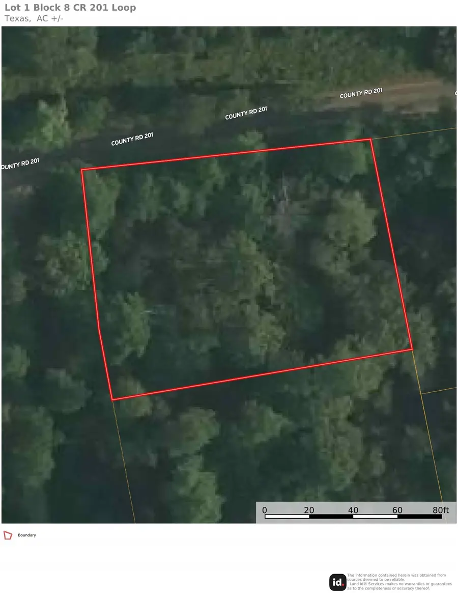 13321 Lueders Lane, Plantersville, TX 77363 - #2