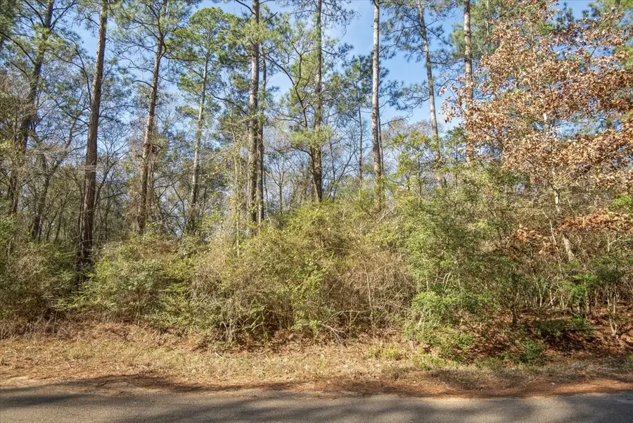 13321 Lueders Lane, Plantersville, TX 77363 - #3