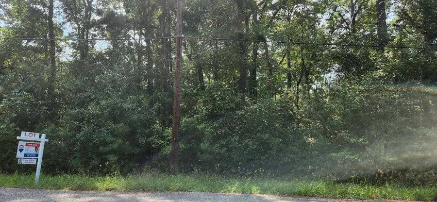 0 Daniel Street, Magnolia, TX 77354 - #3