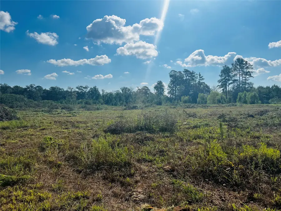 2380 County Road 3405, Cleveland, TX 77327 - #2