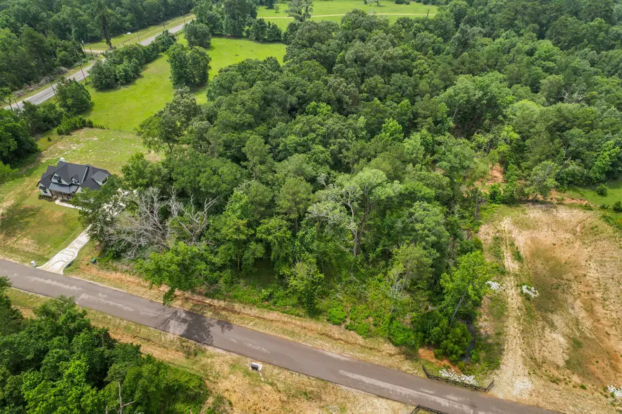 24819 Two Rivers Road, Montgomery, TX 77316 - Image #2