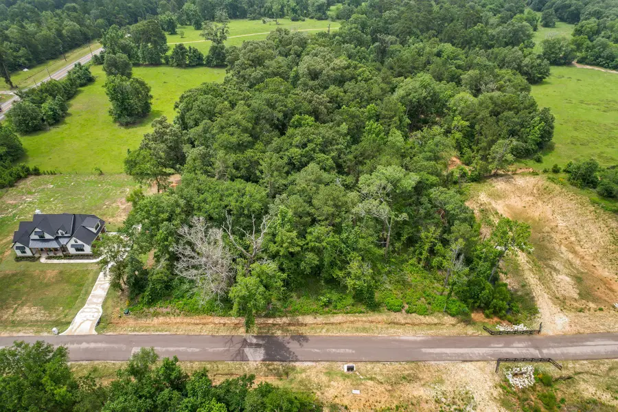 24819 Two Rivers Road, Montgomery, TX 77316 - Image #3