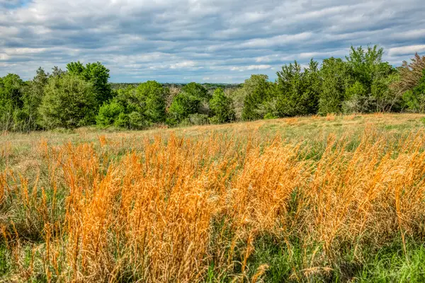 TBD (56.135 Acres) County Road 125, Ledbetter, TX 78946