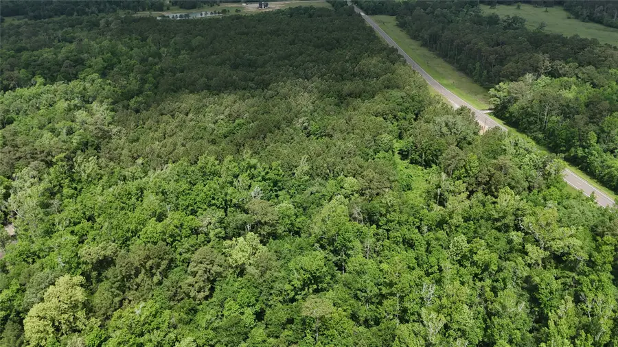 7644 Fm 562, Anahuac, TX 77514 - #3