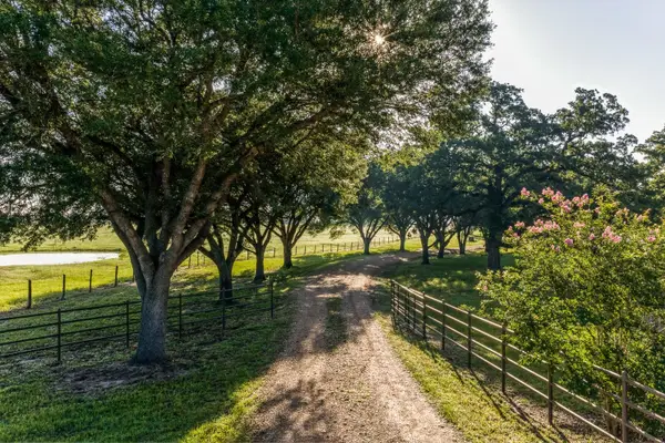 20755 Holle Lane, Washington, TX 77880
