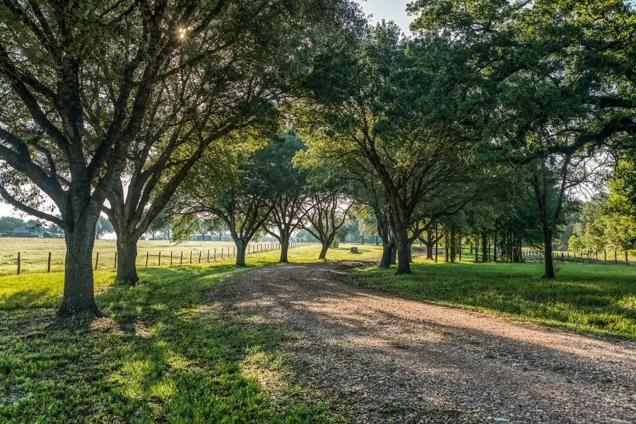 20755 Holle Lane, Washington, TX 77880 - #2