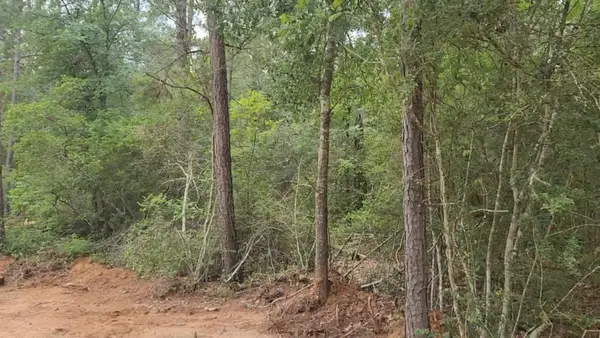 Lot 3 Scarlet Oak Drive, Plantersville, TX 77363