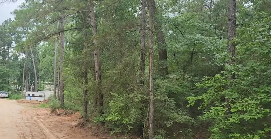 Lot 3 Scarlet Oak Drive, Plantersville, TX 77363 - #3