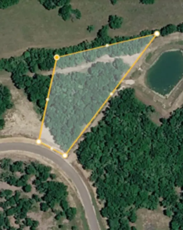000 Lot 29 Winding Branch, Chappell Hill, TX 77426
