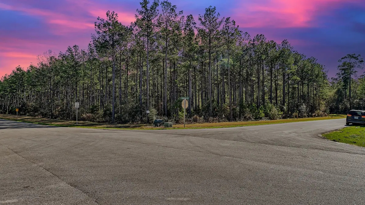 10999 Ruger Road, Willis, TX 77378 - #1