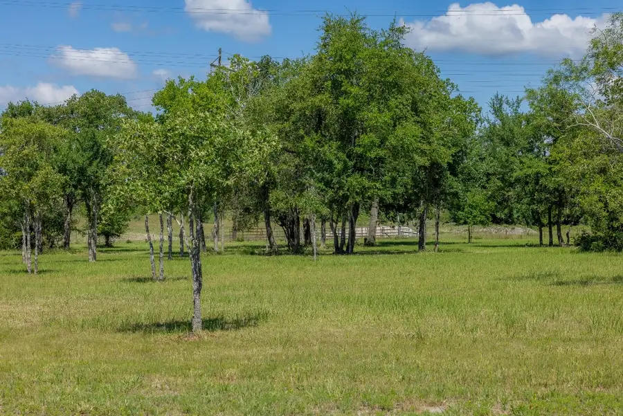 6731 Atakapan Trail, Bedias, TX 77831 - #3