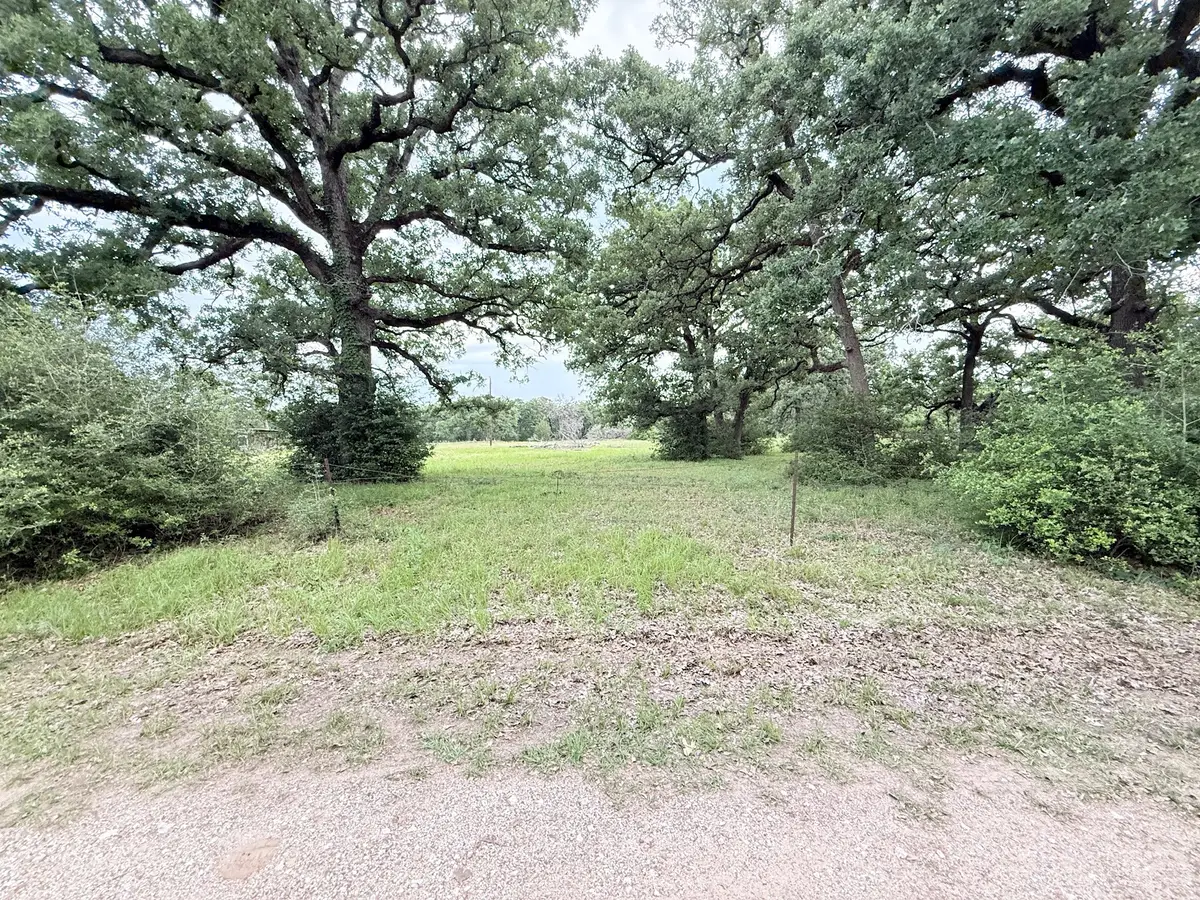 TBD Wannabe Pvt Road, Bryan, TX 77808 - #1