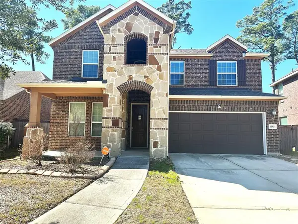 22523 Birch Ridge Meadow Drive, Spring, TX 77389