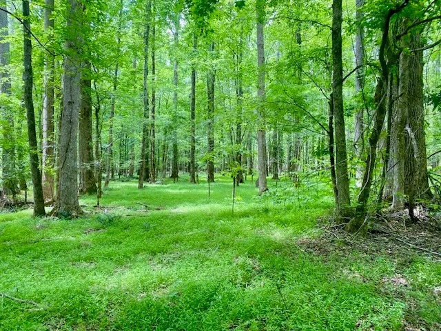 0 Pete Johnson Road, Other, GA 30668 - #1