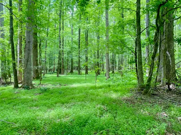 0 Pete Johnson Road, Other, GA 30668