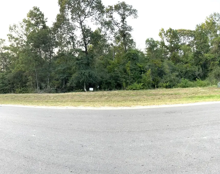 15812 Republic Ranch Road N, Willis, TX 77378 - #3