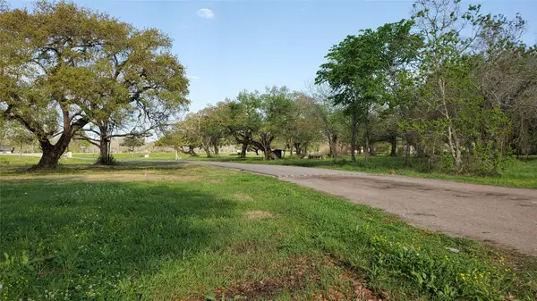105 Country Oaks Street, Brazoria, TX 77422