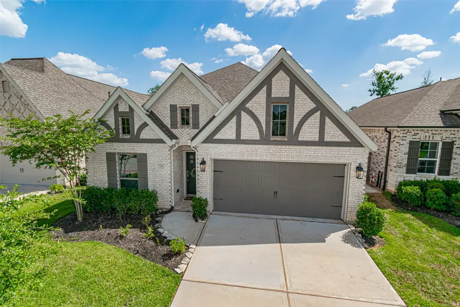 546 Cedar Harbor Court, Conroe, TX 77304 - #2