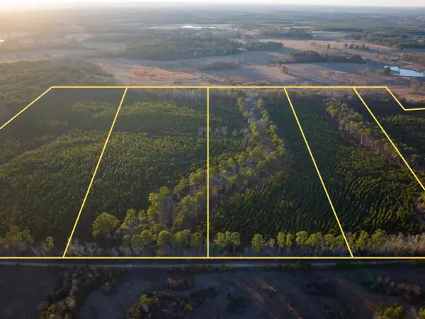 T-1 Cr 4415, Annona, TX 75559