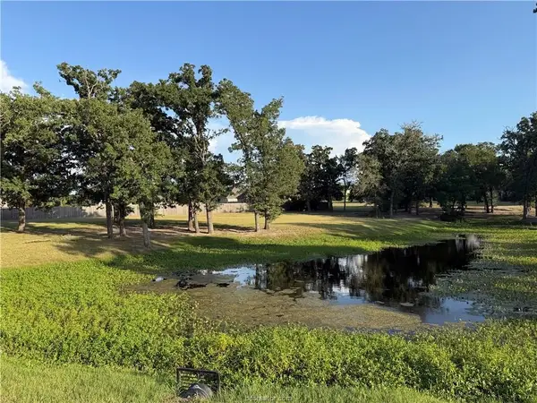 9901 Hunters Run, College Station, TX 77845