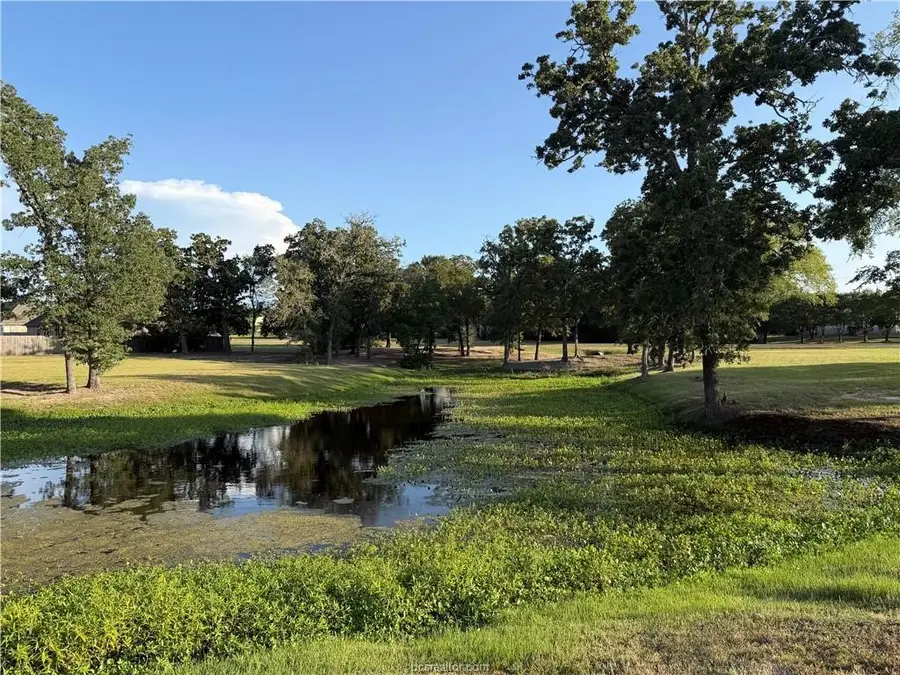 9901 Hunters Run, College Station, TX 77845 - #3