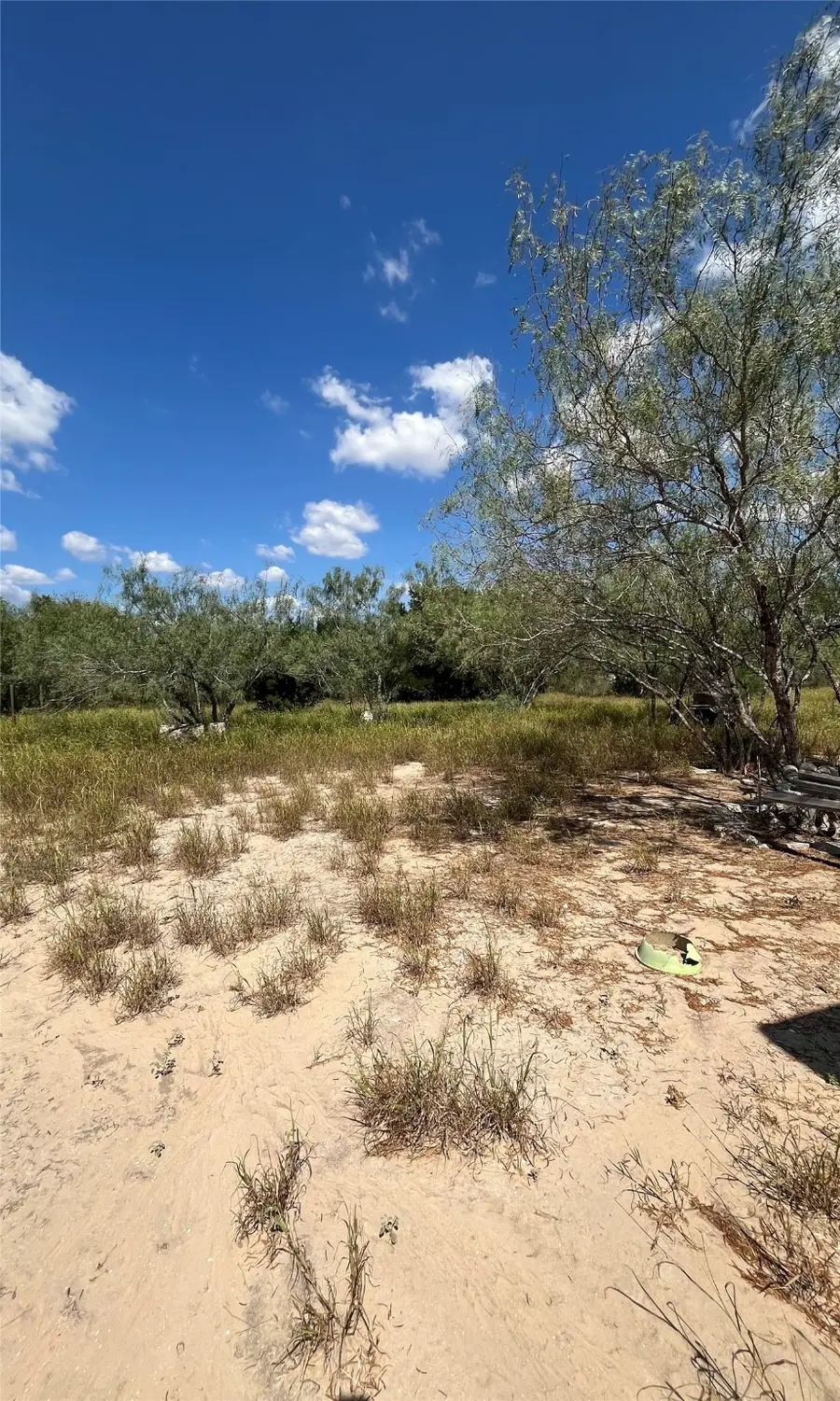 511 N Fm 649, Roma, TX 78584 - Image #3