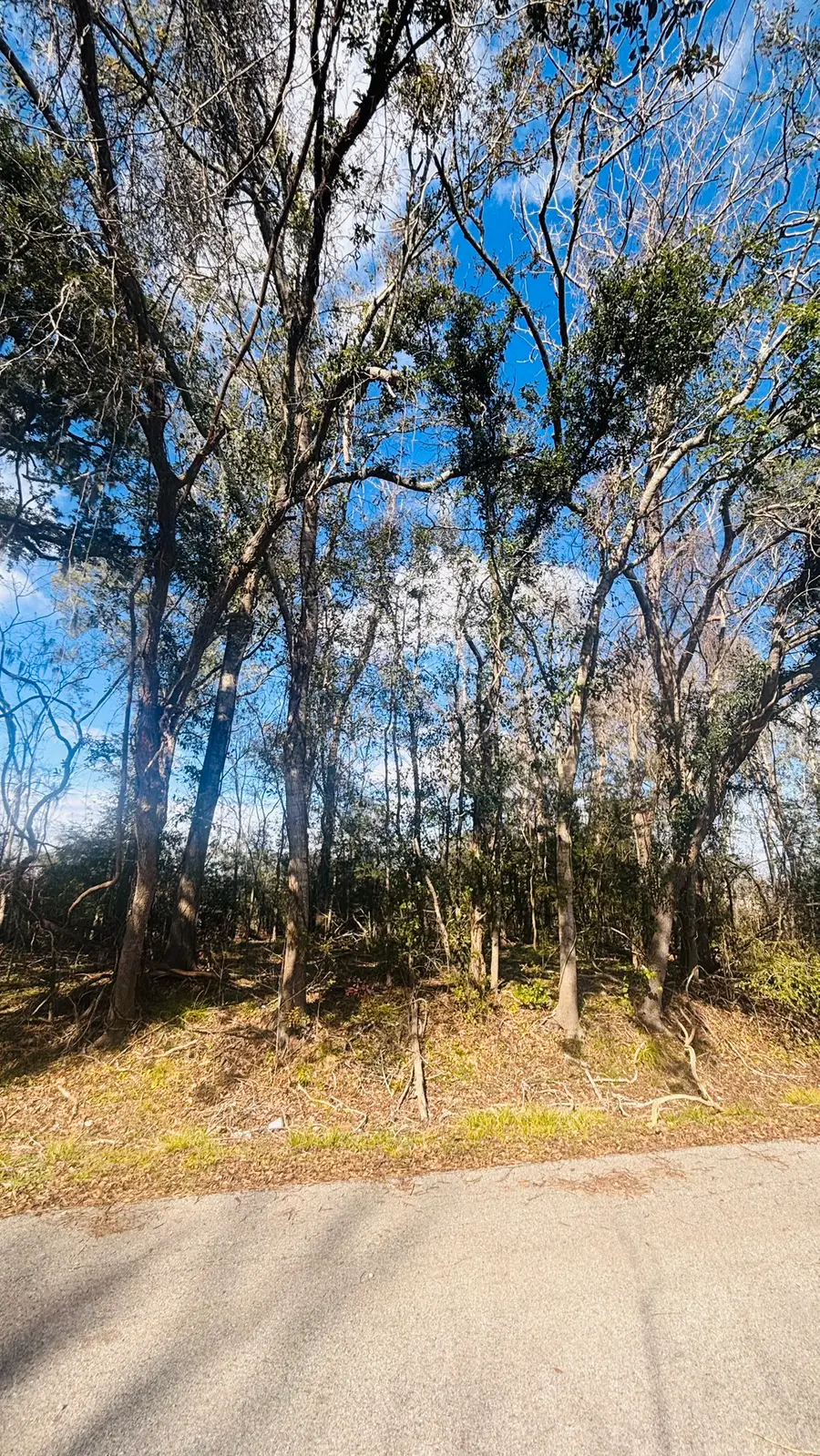 lots 641,639,637 Marshall Avenue, Holiday Lakes, TX 77515 - #2