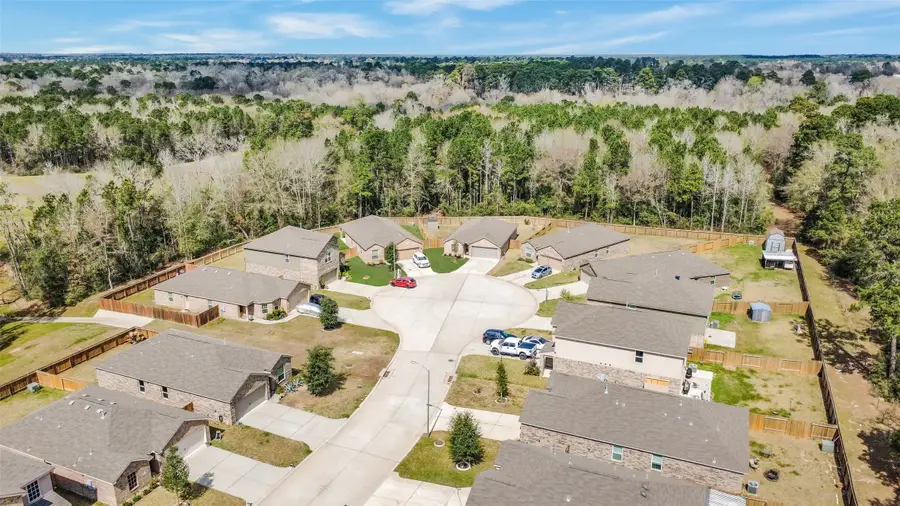 21343 Rachel Manor Drive, Hockley, TX 77447 - #2