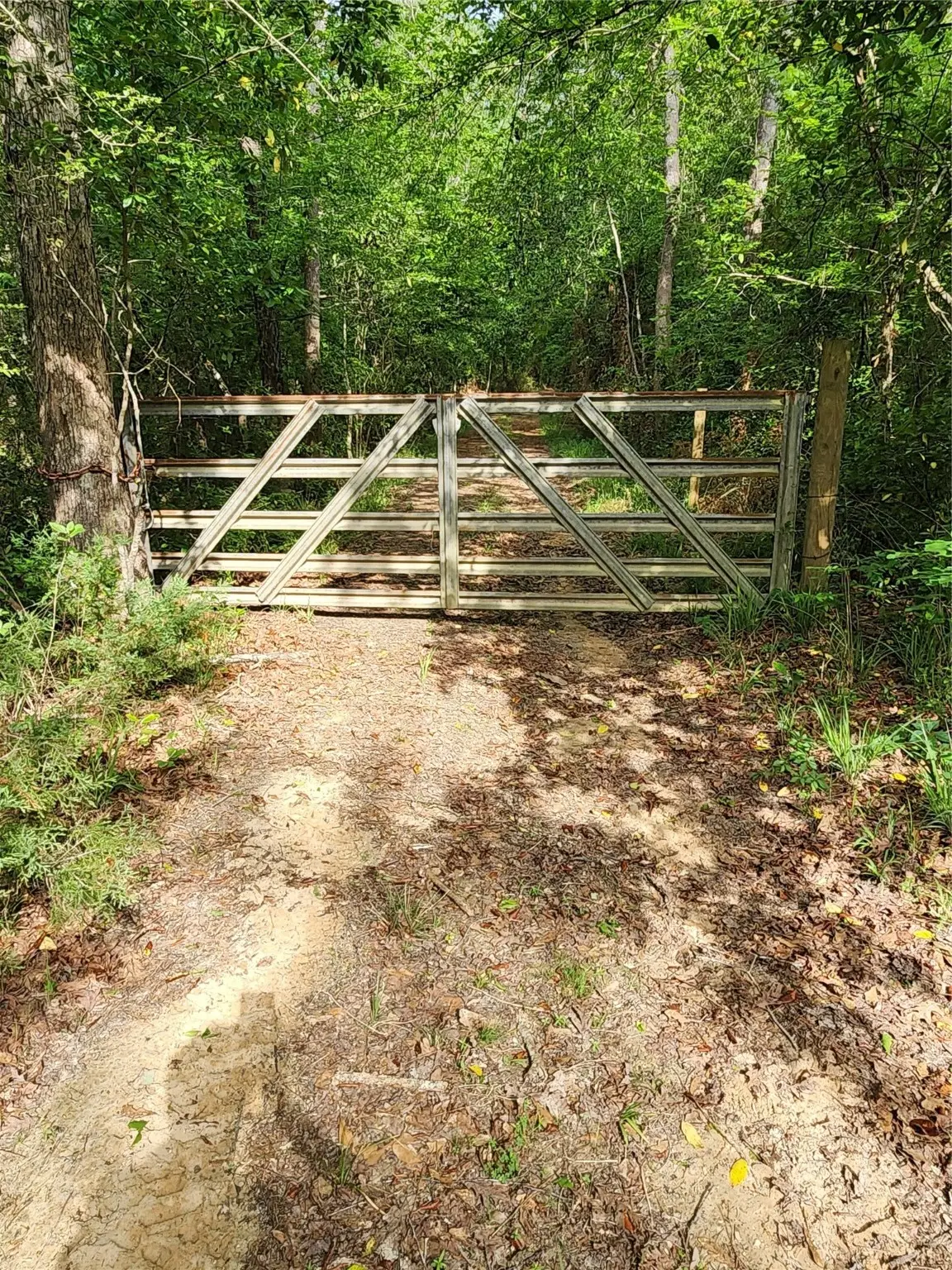 TBD Ward Road, Cleveland, TX 77328 - #1