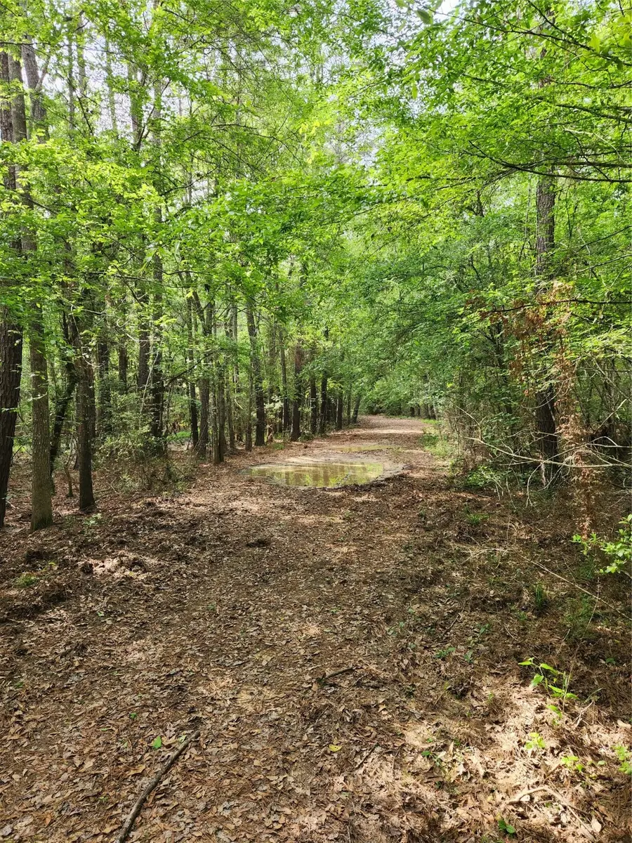 TBD Ward Road, Cleveland, TX 77328 - #3