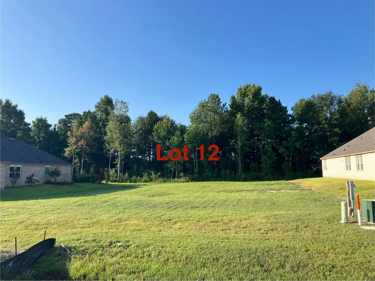 1011 Tarkington Timbers Drive, Cleveland, TX 77327 - Image #1