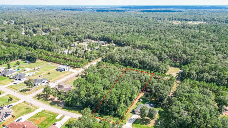 27542 Rio Blanco Drive, Splendora, TX 77372 - #2