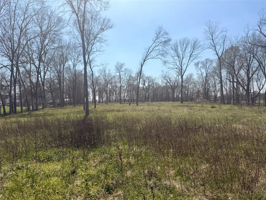 40617 Lg Lane, Brookshire, TX 77423 - #3
