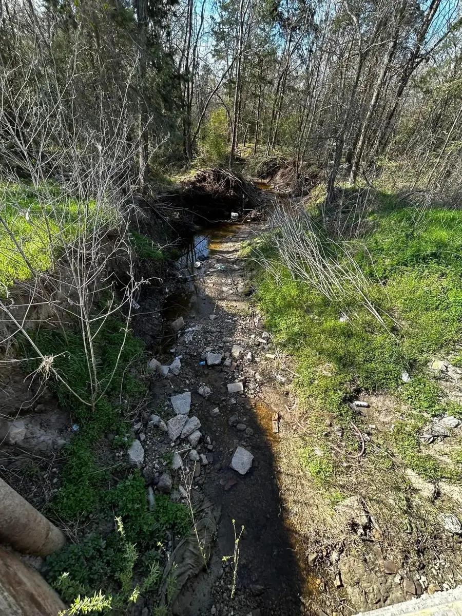 0 Mustang Loop Lane, Madisonville, TX 77864 - Image #3