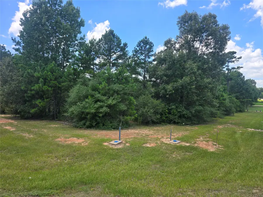 26131 Crown Ranch Boulevard, Montgomery, TX 77316 - #3