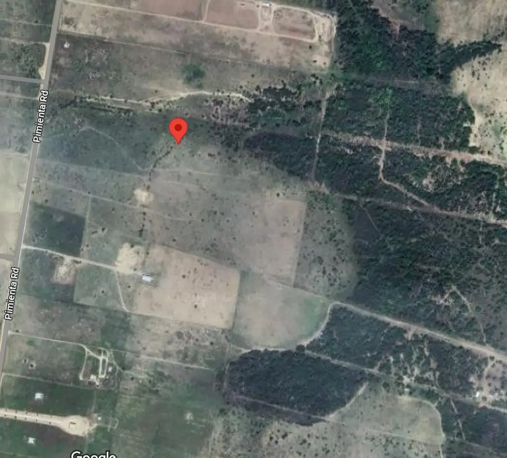 1770 Pimienta Road, Rio Grande City, TX 78582 - Image #1