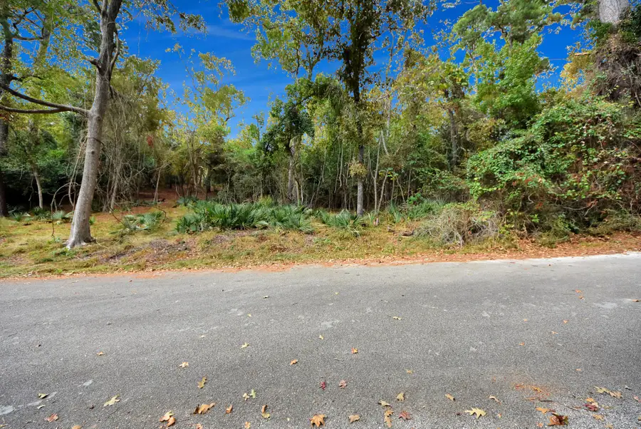 Lot 37 Loper Lake Drive, Livingston, TX 77351 - Image #2