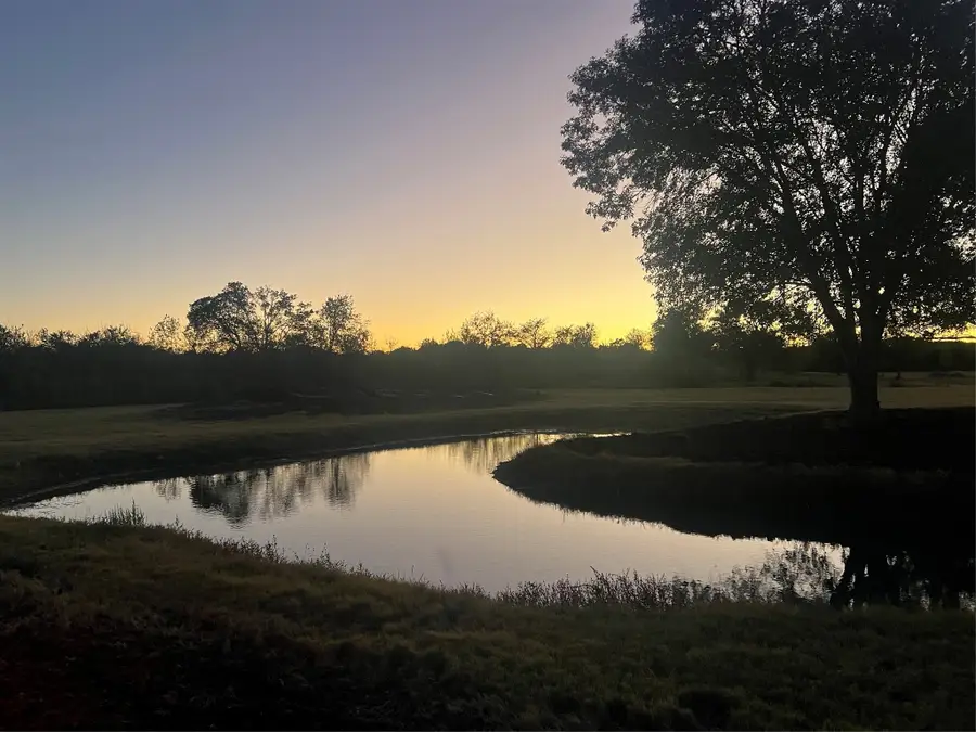 10250 Jenny Lynn Lane, Chappell Hill, TX 77426 - #3