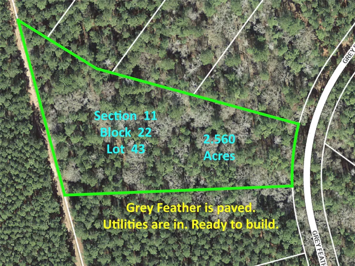 215 Grey Feather Road, Huntsville, TX 77340 - #1