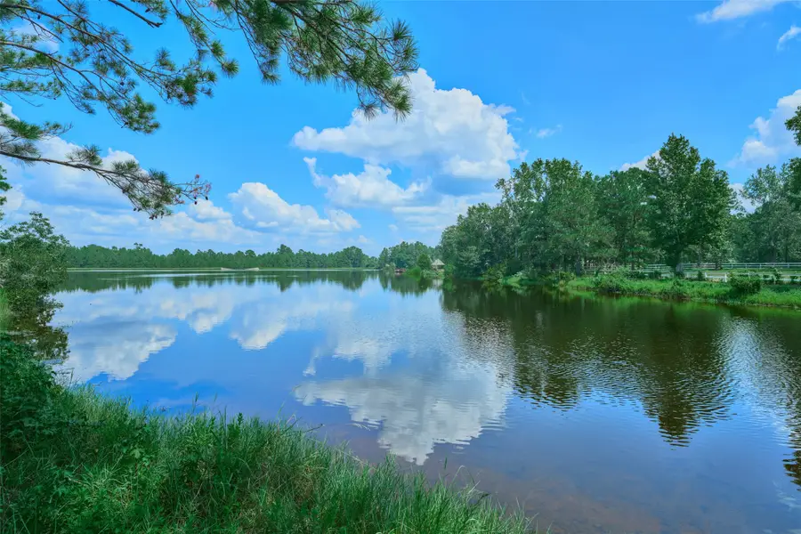2218 Honea Egypt Road, Magnolia, TX 77354 - #3