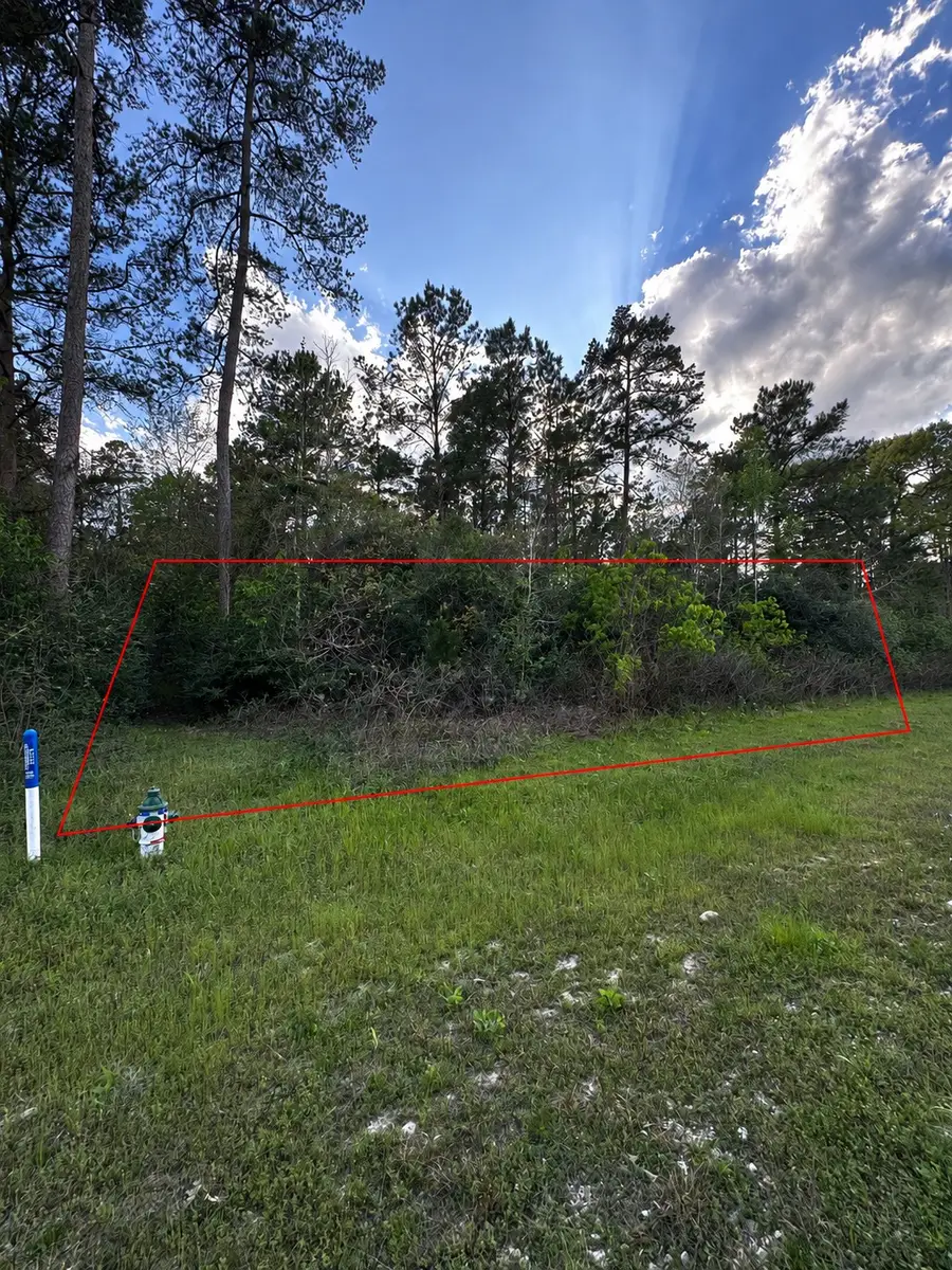 7-23-51 Sky Oak Lane, Huntsville, TX 77340 - #3