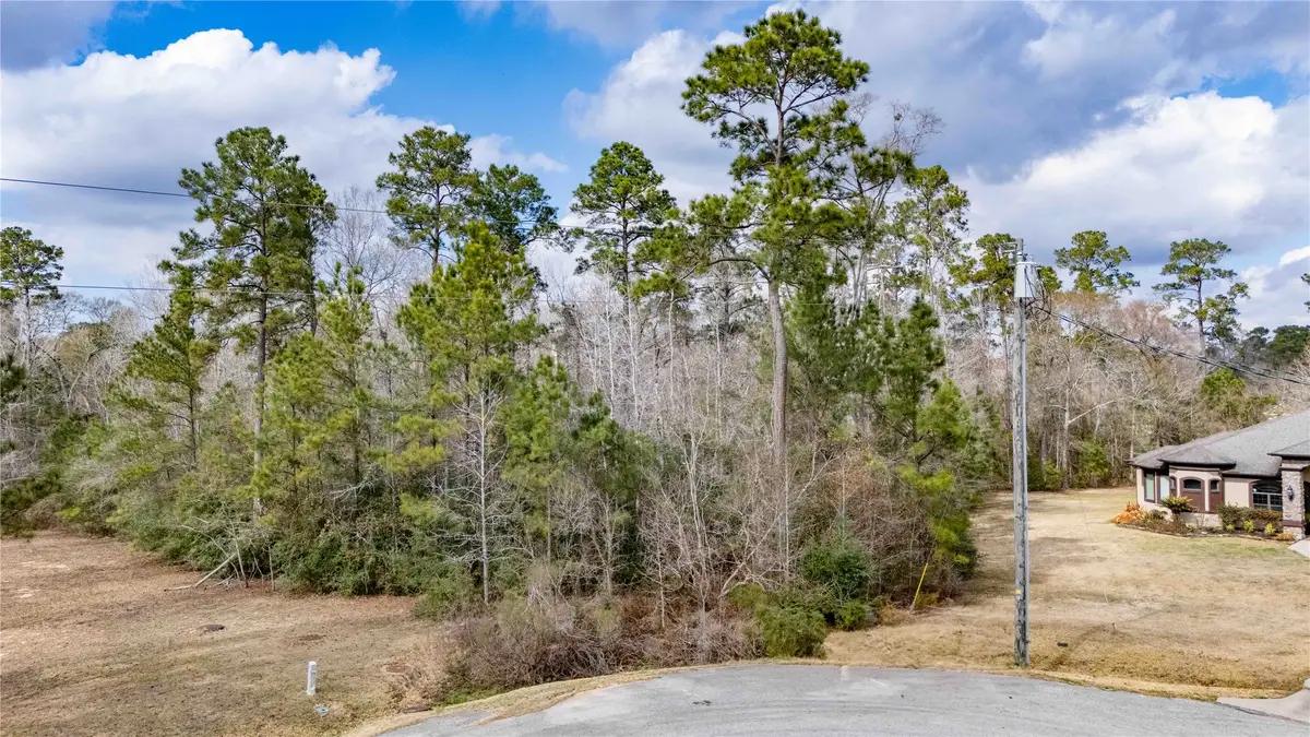 0 Palmer Oaks Drive, Huffman, TX 77336 - #1